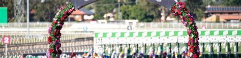 qld racing replays non tab|Free Queensland Race and Trial Replays :: Racing Queensland.
